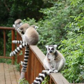 Photo shared by Paul the Kiwi