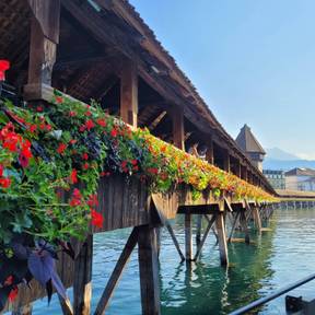 Lucerne
