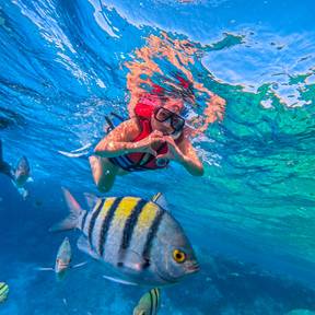 Exploring the vibrant blues of the Red Sea