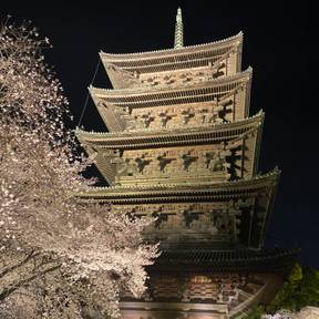 Illuminations Festival, Kyoto